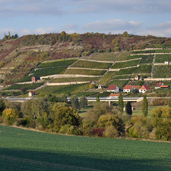 Forschung: Historische Kulturlandschaft und sozialistische Industrialisierung der Landwirtschaft an Saale und Unstrut